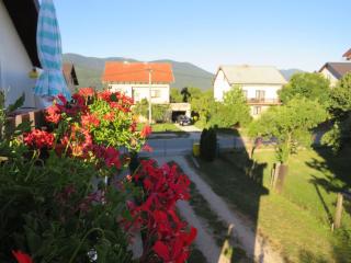 Guest house Ruza - Korenica - 1