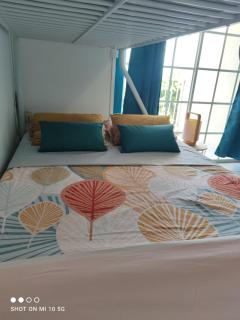 STUDIO PIEDS DANS L EAU A SCHOELCHER - 1