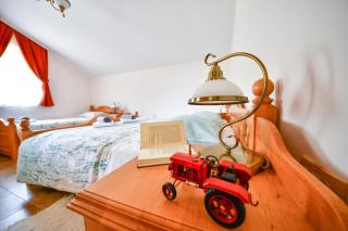 Farm Stay Peternelj - Ilirska Bistrica - 3