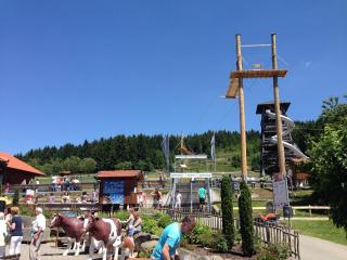 Apartment in the Bavarian Forest with sauna - Drachselsried - 5