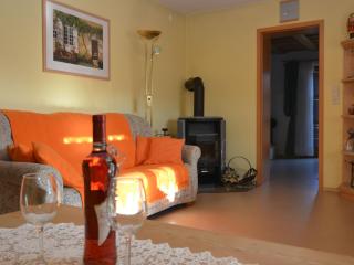Apartment in the Bavarian Forest with sauna - Drachselsried - 8