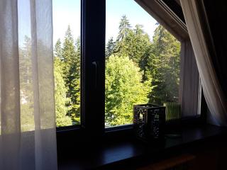 PinePino Borovets, aparthotel Borovets Gardens A60 - Borovets - 1