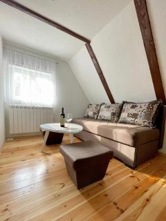 Kosta’s apartments - Žabljak - 1