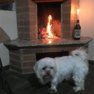 Chácara Felicidade - Socorro - 4