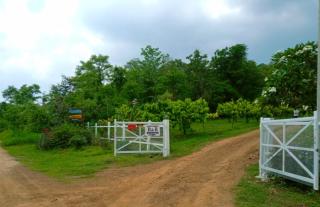 The Green Vale B&B - 8