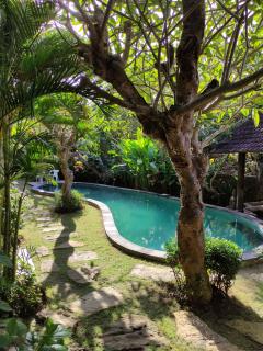 Karma Backpacker - 2