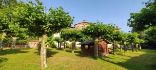 Apartaments Les Voltes - Les Preses - 6