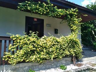 apartma MAKS - Kobarid - Podbela - 8