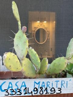 Casa Maritrì Locazione Turistica - Marzamemi - 9