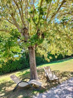 Casa vacanze Bonardini - Castiglione del Lago - 1