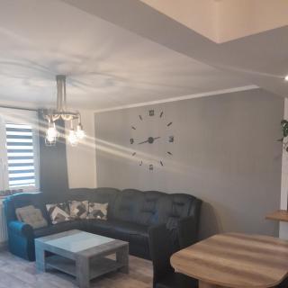 Apartament Dark - Ustrzyki Dolne - 9