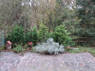 Waldpension Stachl - Bromberg - 9