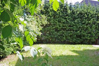 Aurturist S Candido Roulette - 9