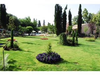 Corfu Club Junior Suite - Danilia - 5