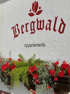 Bergwald Appartements Alpbach - Alpbach - 9