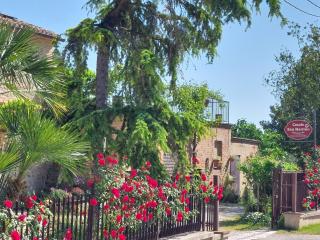 Casale San Martino Agriturismo Bio - SantʼAngelo in Pontano - 3