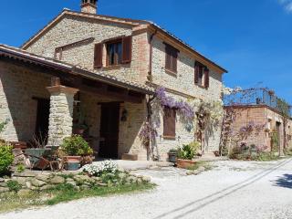 Casale San Martino Agriturismo Bio - SantʼAngelo in Pontano - 8