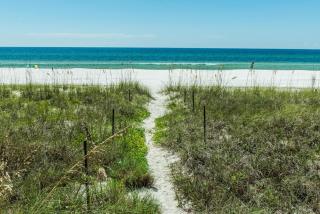 The Shores Townhome #116 - Carillon Beach - 6