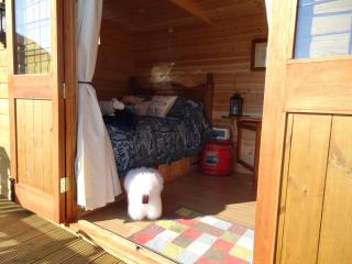 The Lazy Shepherd - East Pennard - 8