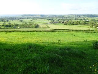 The Lazy Shepherd - East Pennard - 7