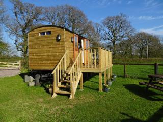 The Lazy Shepherd - East Pennard - 3