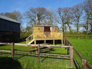The Lazy Shepherd - East Pennard - 2
