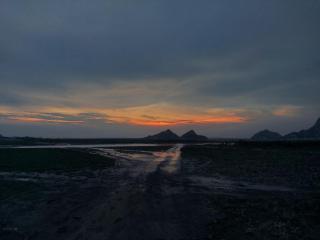 JAWAI WILD LODGE - 6