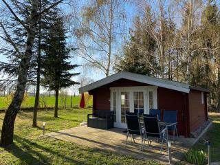 Ferienhaus am Damwildgatter - Neu Kosenow - 8