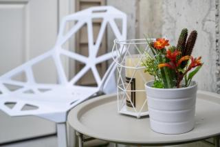 Willow Suite - 1