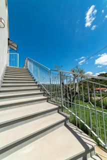 Casa Vacanze Il Vigneto - Castellabate - 7