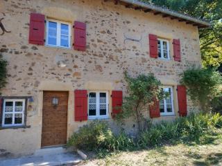 SOUTH BURGUNDY country house MONT CHEF - Chassigny-sous-Dun - 9