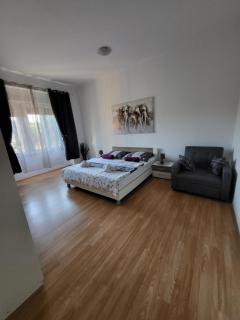 Rijeka apartment with free parking and large balcony - Rijeka - 9