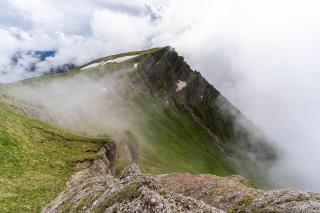 Grünes Allgäu Simon Held - Opfenbach - 5