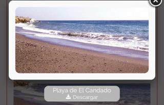 Apartamento playa y golf candado - Málaga - 8
