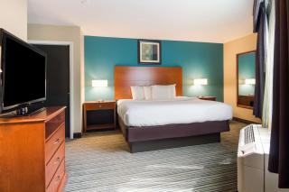 Best Western Plus Traverse City - Traverse City - 7