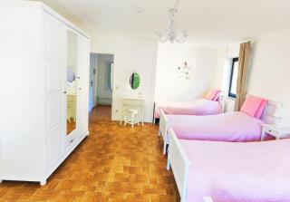 Romantic Style Apartment Titisee - 1