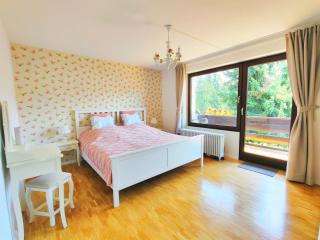 Romantic Style Apartment Titisee - Titisee-Neustadt - 2