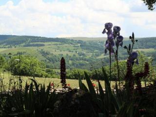 Location authentique avec cheminée et toit de chaume, proche nature et activités à St-Front - FR-1-582-291 - 6