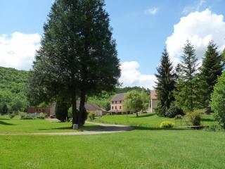 Gîte de charme avec piscine couverte, sauna et bain nordique en pleine nature - FR-1-489-255 - Vernusse - 1