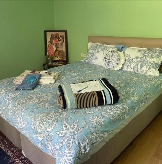 Mavi Ladin Konukevi - 3