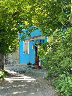 Mavi Ladin Konukevi - Kars - 4