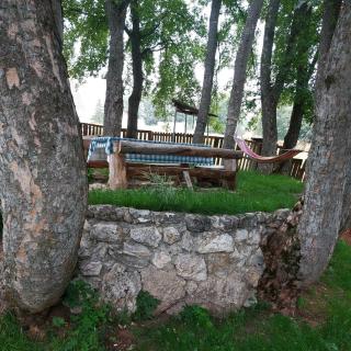 Apartments Javorje Zabljak - Žabljak - 5