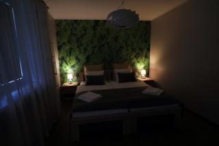 Greenland Apartments - Cēsis - 9