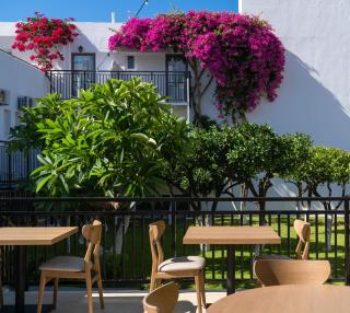 Hotel Malia Holidays - Malia - 2