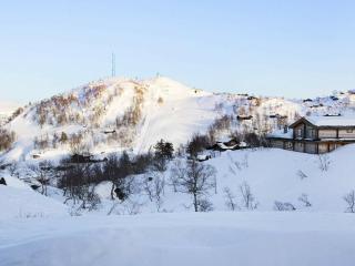 10 person holiday home in ÅSERAL - Åseral - 4