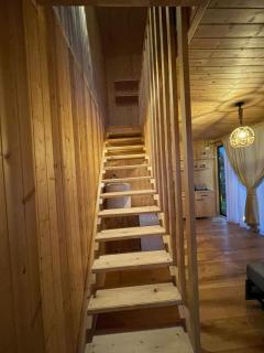 Pano Blueberry - Namlisevi - 4