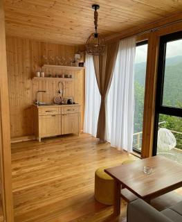 Pano Blueberry - Namlisevi - 2