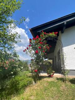 Ferienhaus Lara - Feld am See - 5