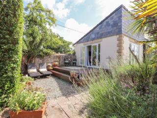 Lily Pad - Rhyl - 9