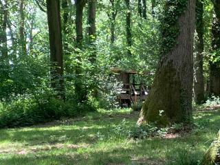 Unique off Grid Tree-House Stay in oak woodland - Longhope - 7